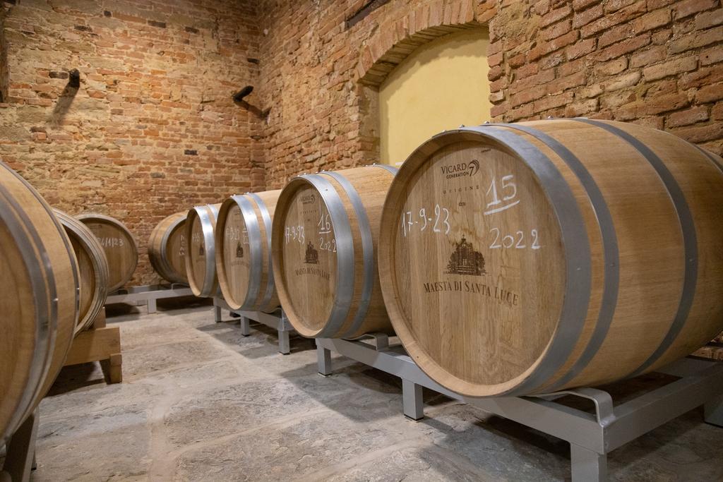 Maestà di Santa Luce | Cantina Toscana a Castiglion Fiorentino