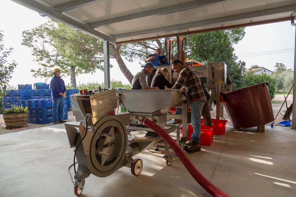 Winery in Valdichiana | Syrah wine in Valdichiana | Photos