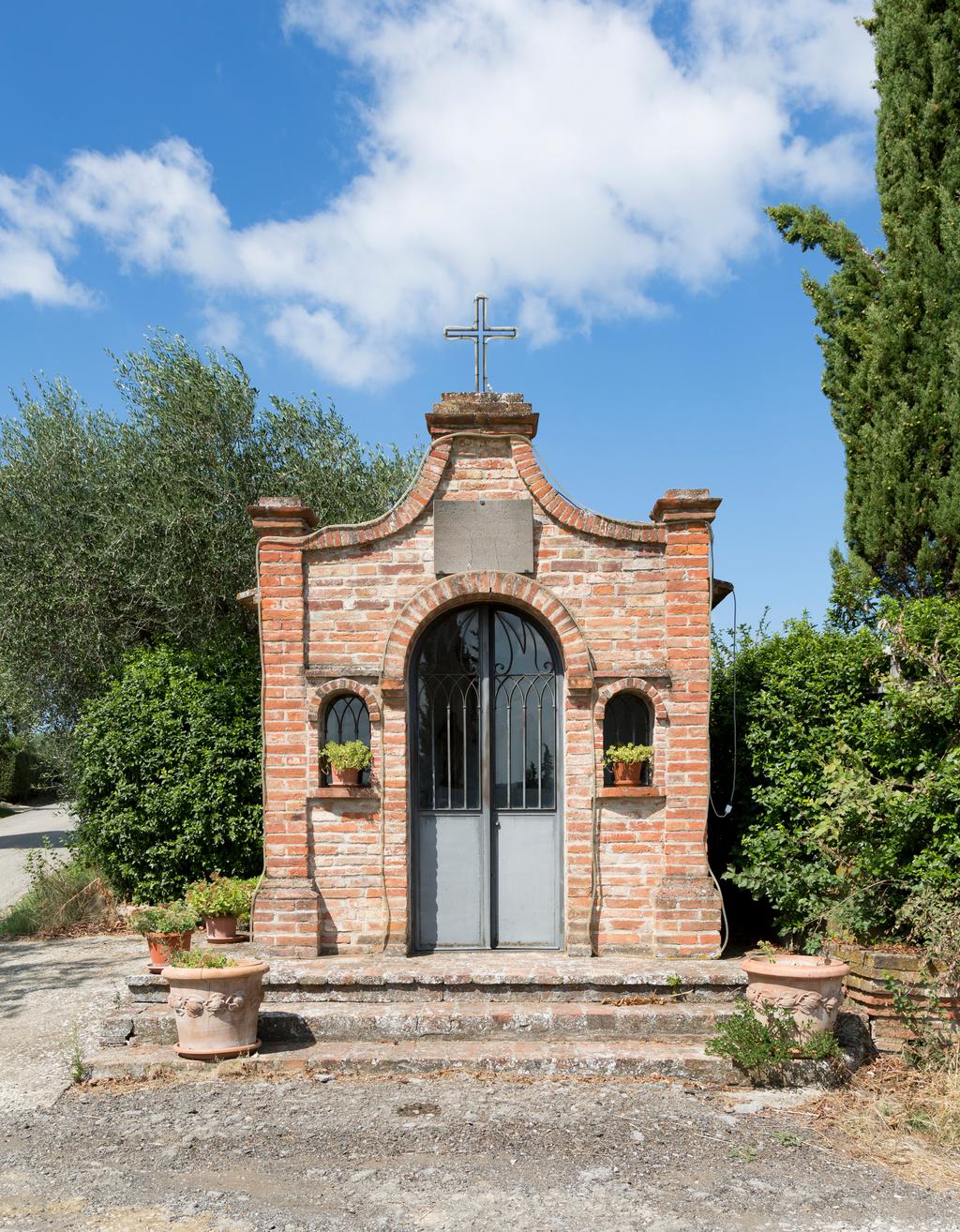 Winery in Valdichiana | Syrah wine in Valdichiana | Photos